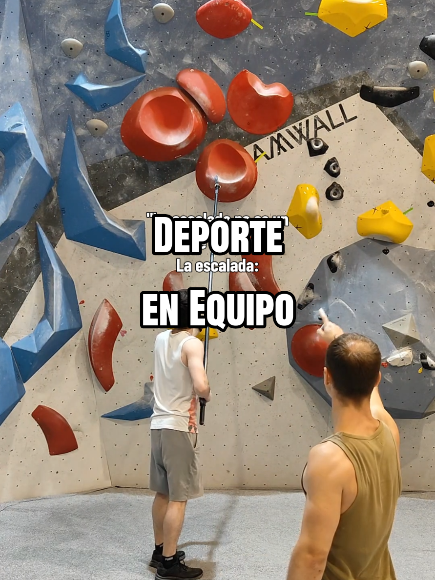 @David LP