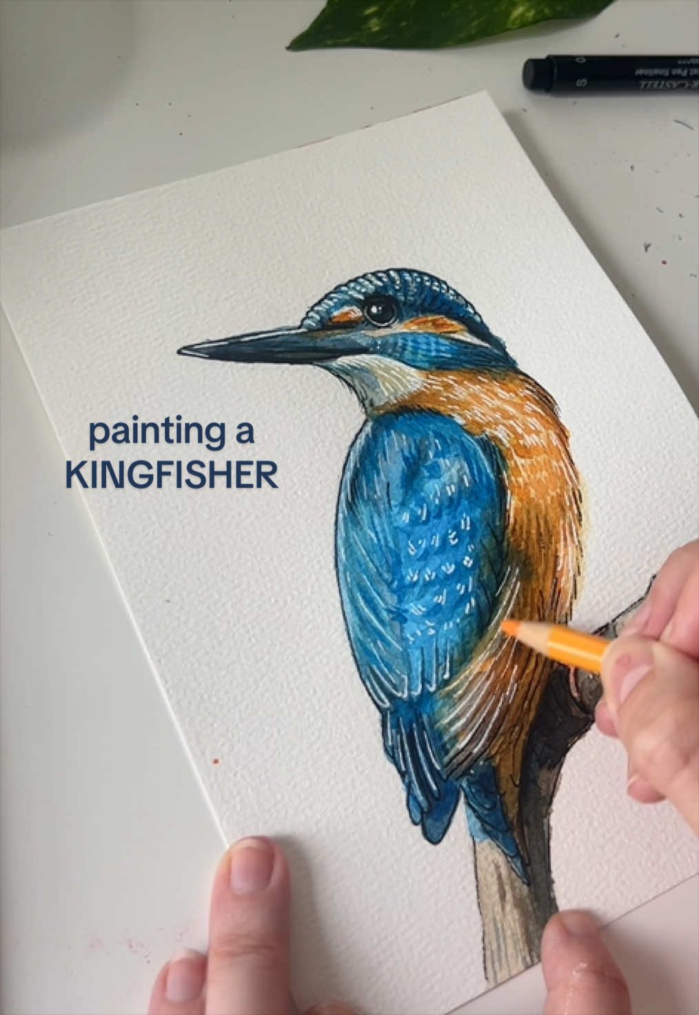 @wastedpaints