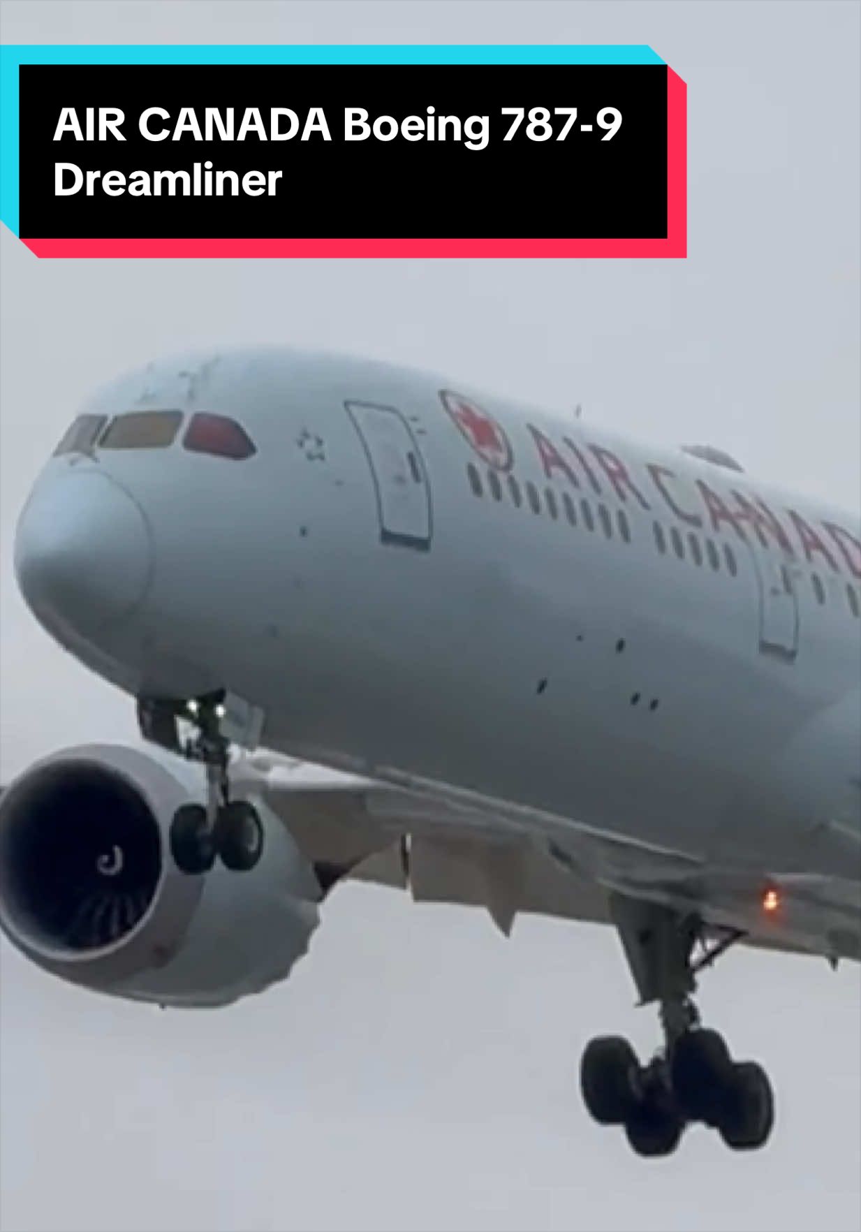 @AVIATION_YYZ_SPOTTER