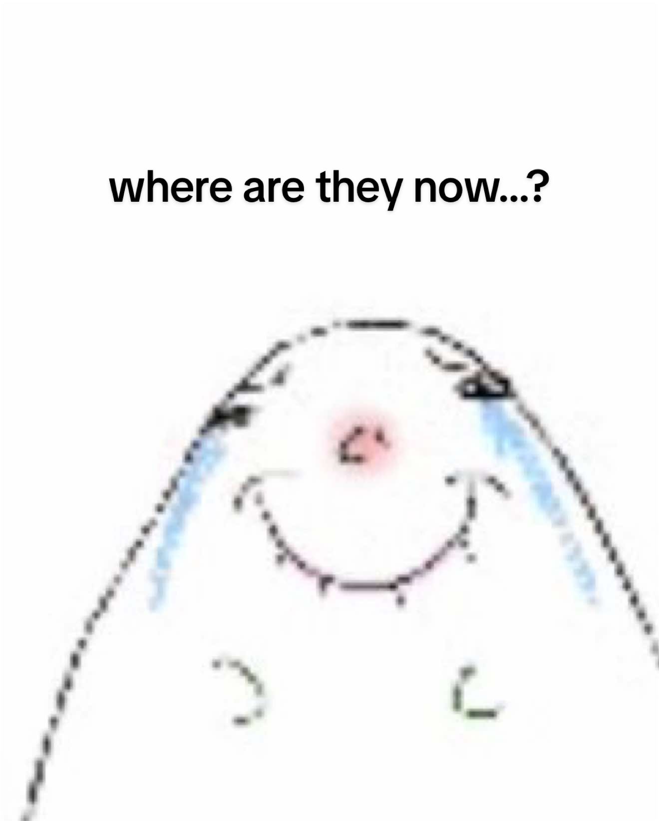 @𝓀𝒾𝓉𝓉𝓎