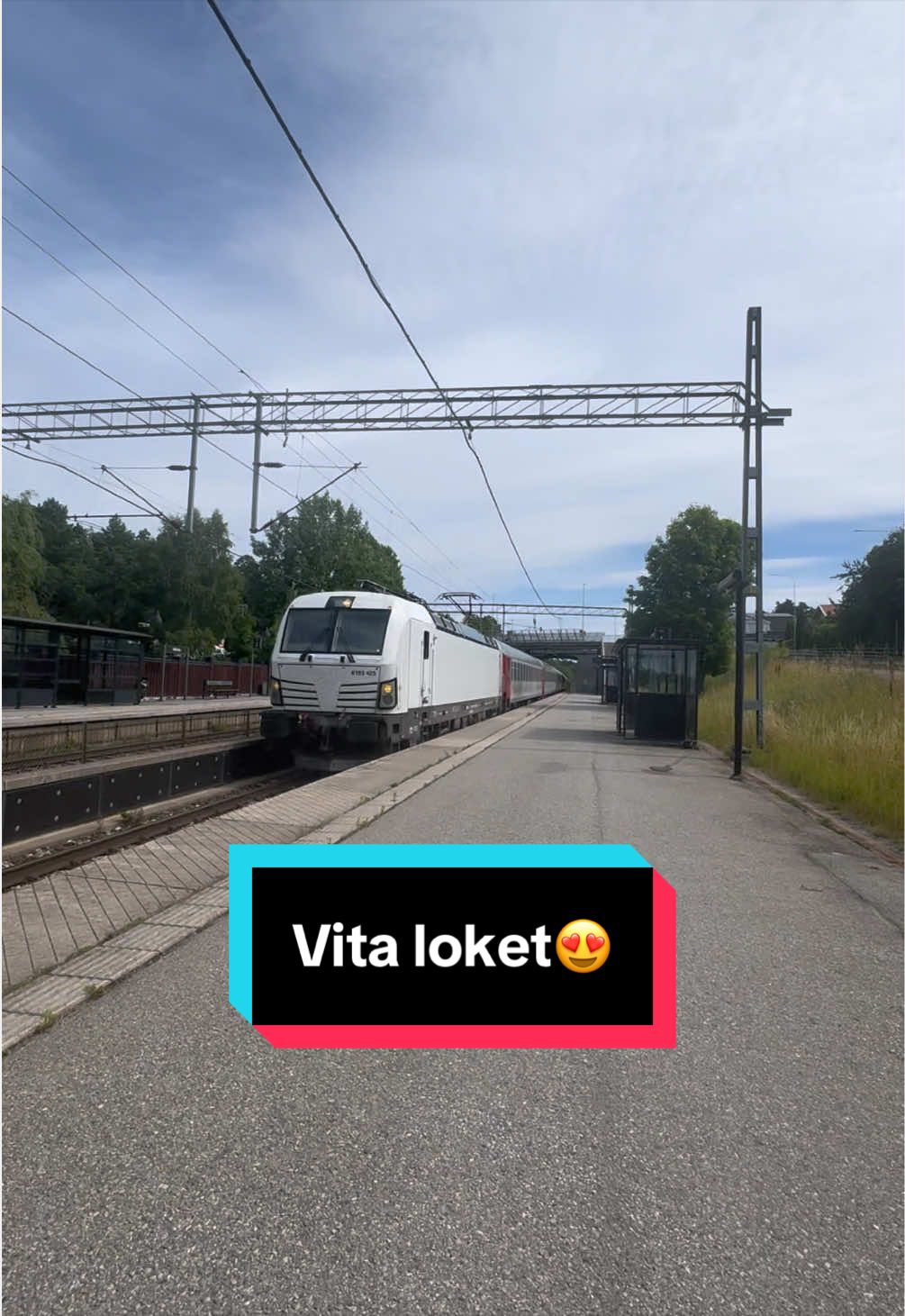 @đžThe Swedish Trainspotterđž
