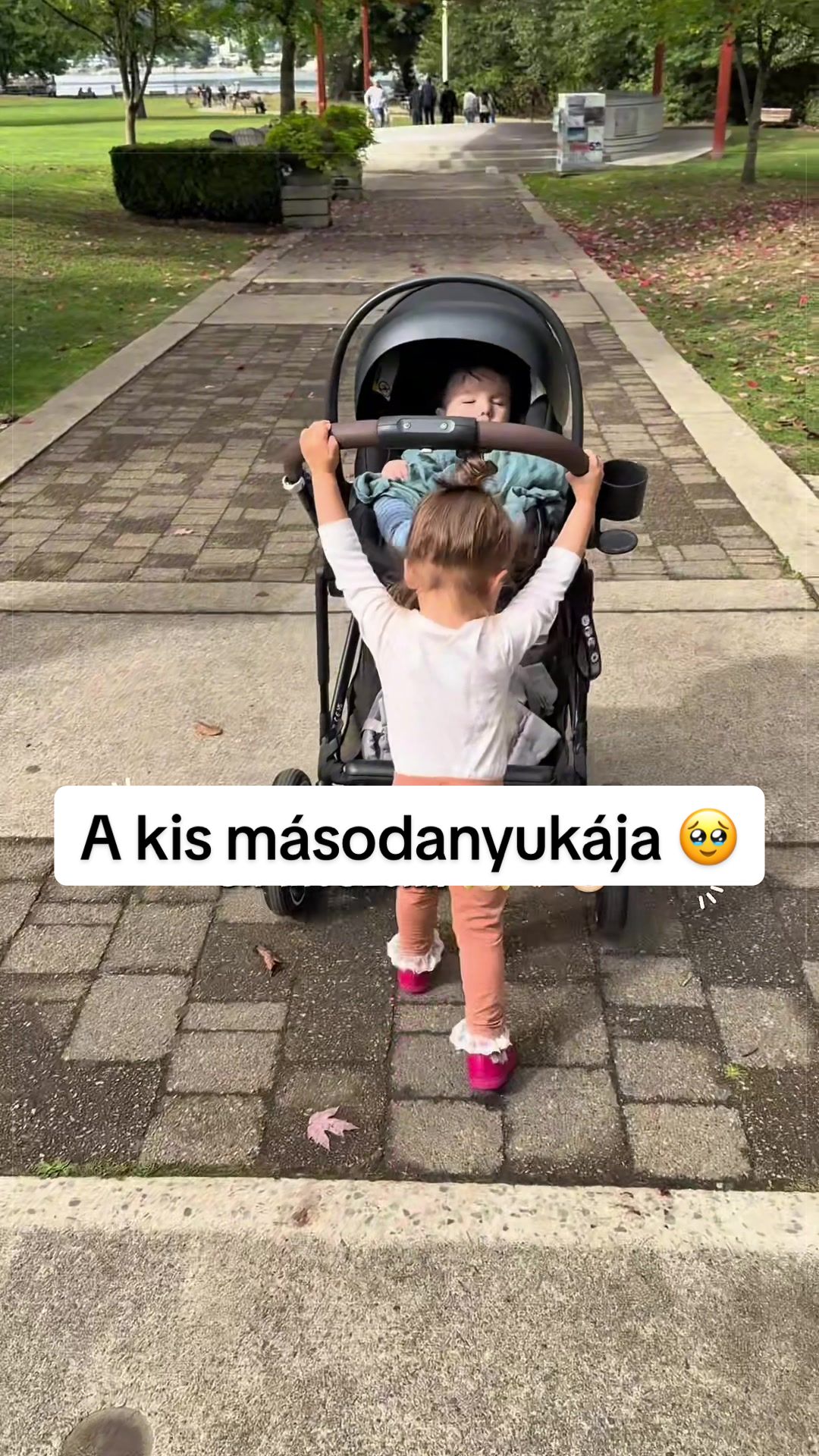 @Evelyn & Dan 🇨🇦🇭🇺