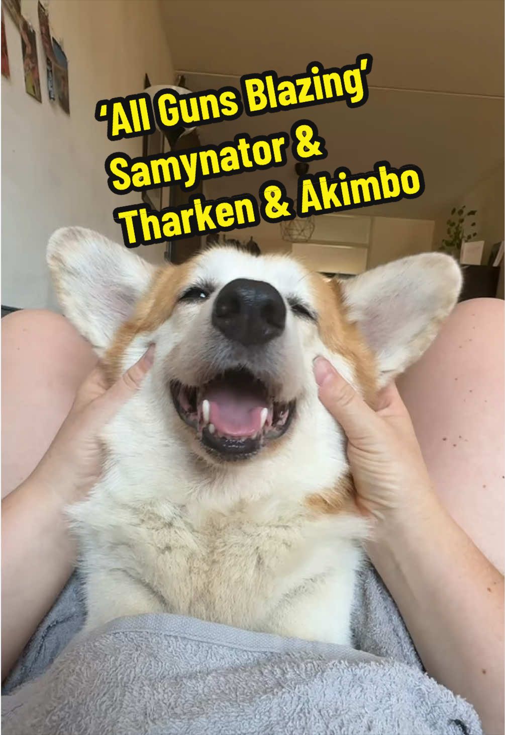 @Kickroll Corgi Charlie ๐ถ๐