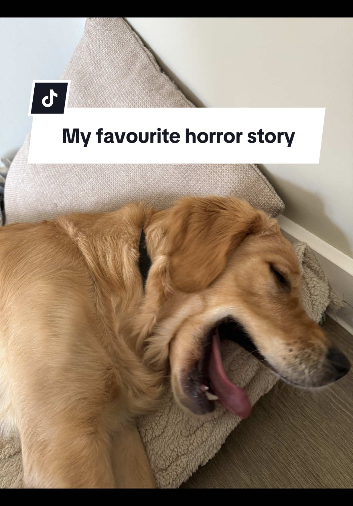 @Joey The Golden