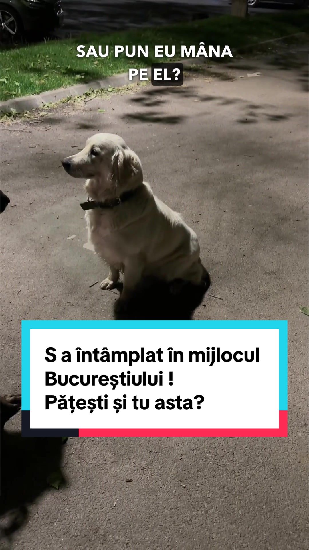 @Tudor-Tim Ionescu