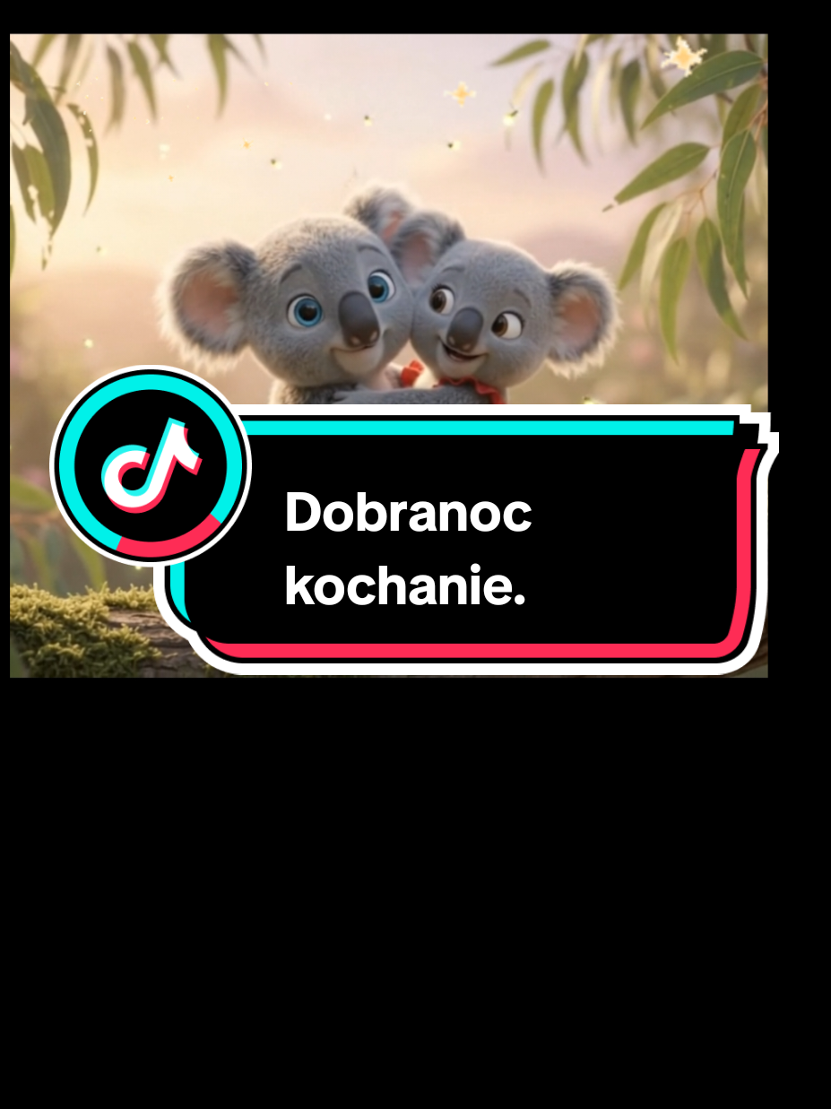 @Wesolutki Koala 🐨 😎
