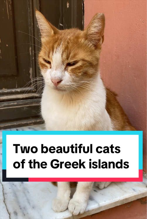 @Greek Islands Memories