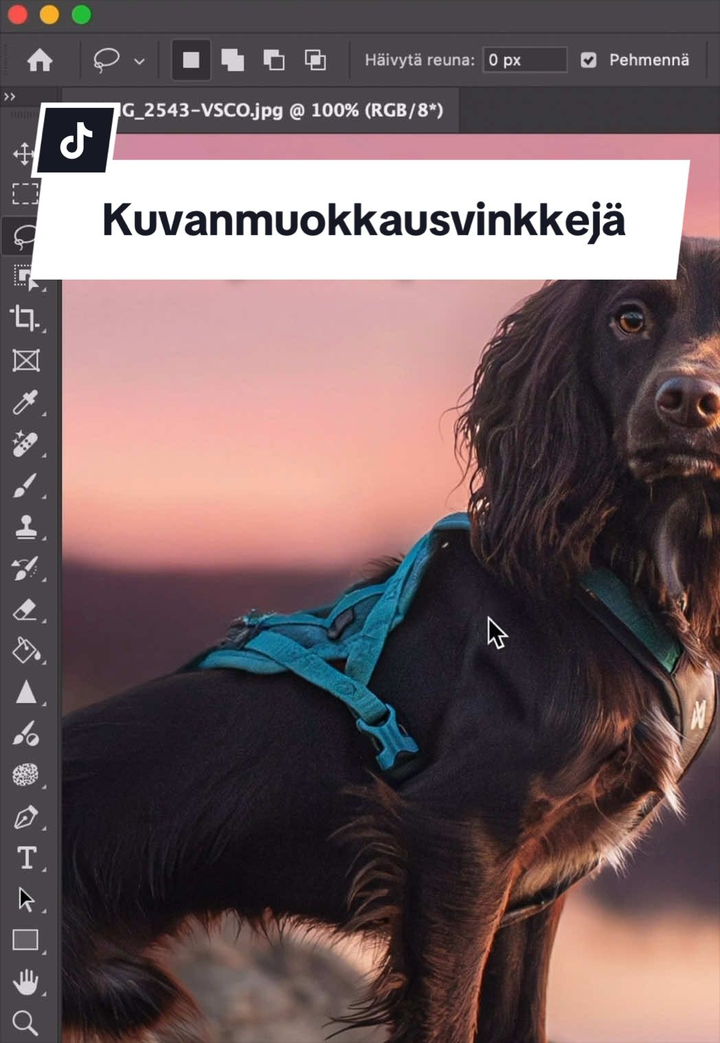 @Hugo ja Gavi🐶