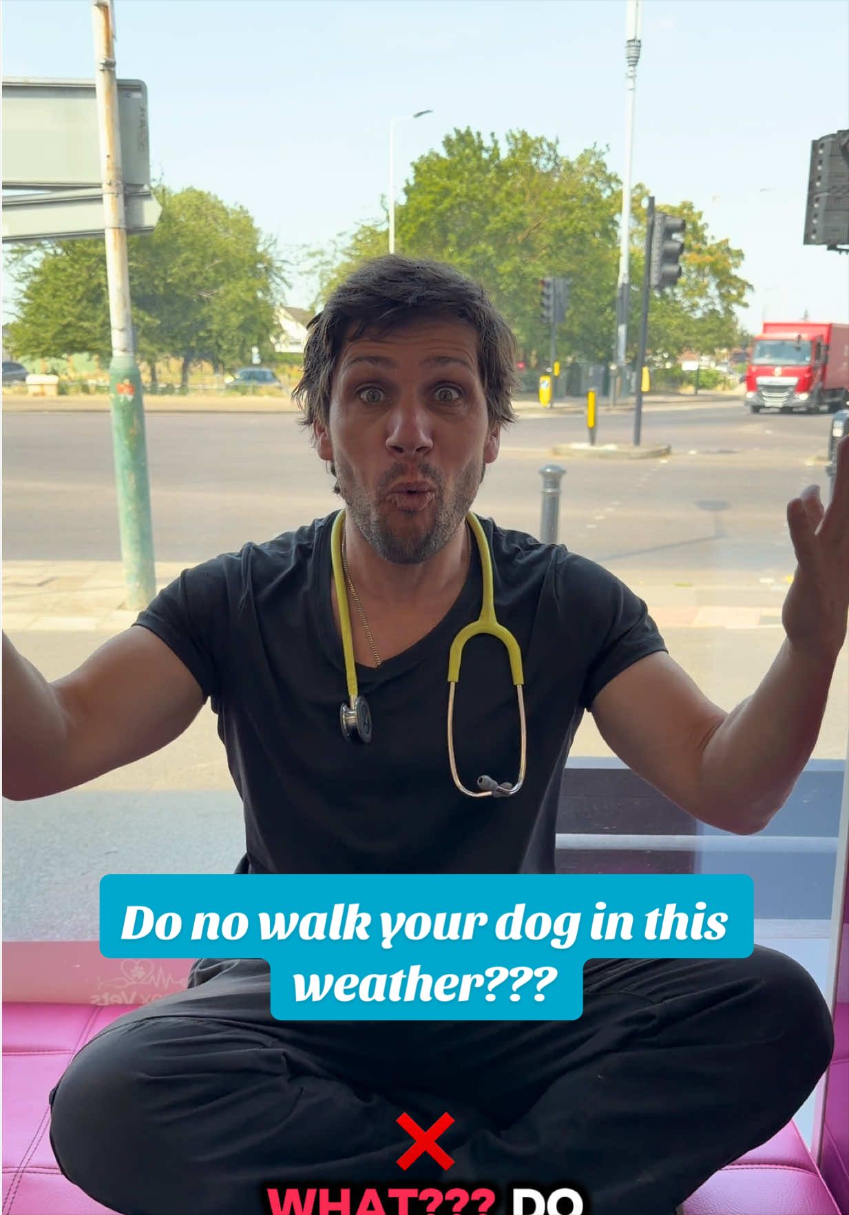 @Tomasthevet