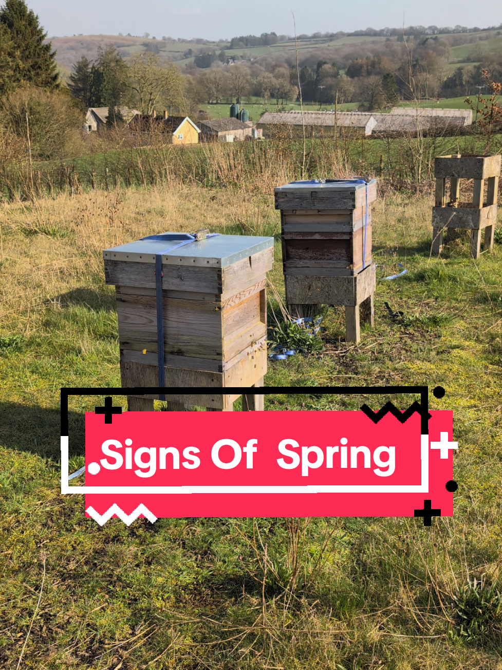 @Cherry Tree Hives