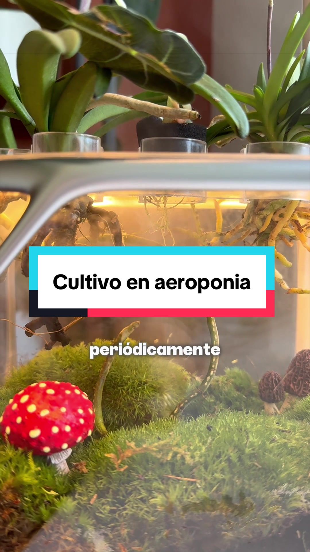 @🌱 En Abril Hojas Mil 🌱