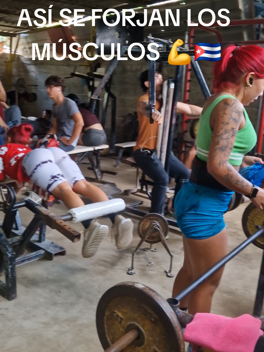@Ismael | Fitness Cubano 🇨🇺