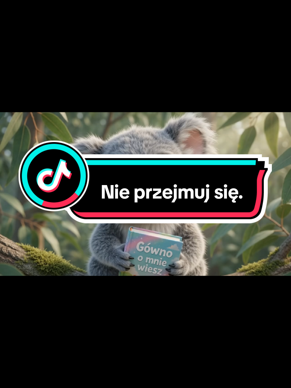 @Wesolutki Koala 🐨 😎