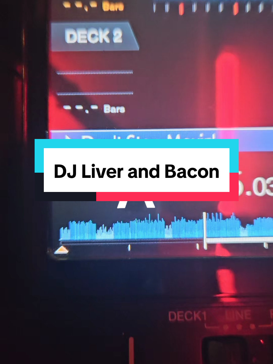 @DJ Liver and Bacon