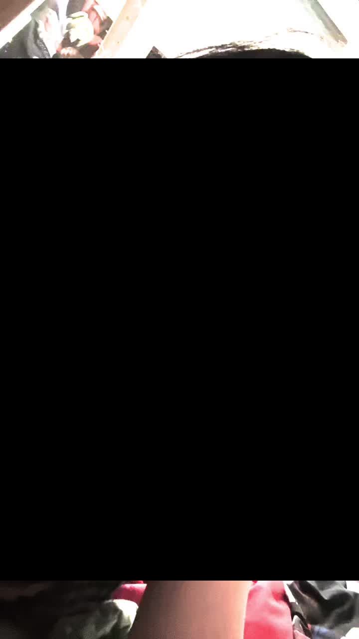 @ᨳ 𑣲⋆abiilaurr 𝄞 ଓ