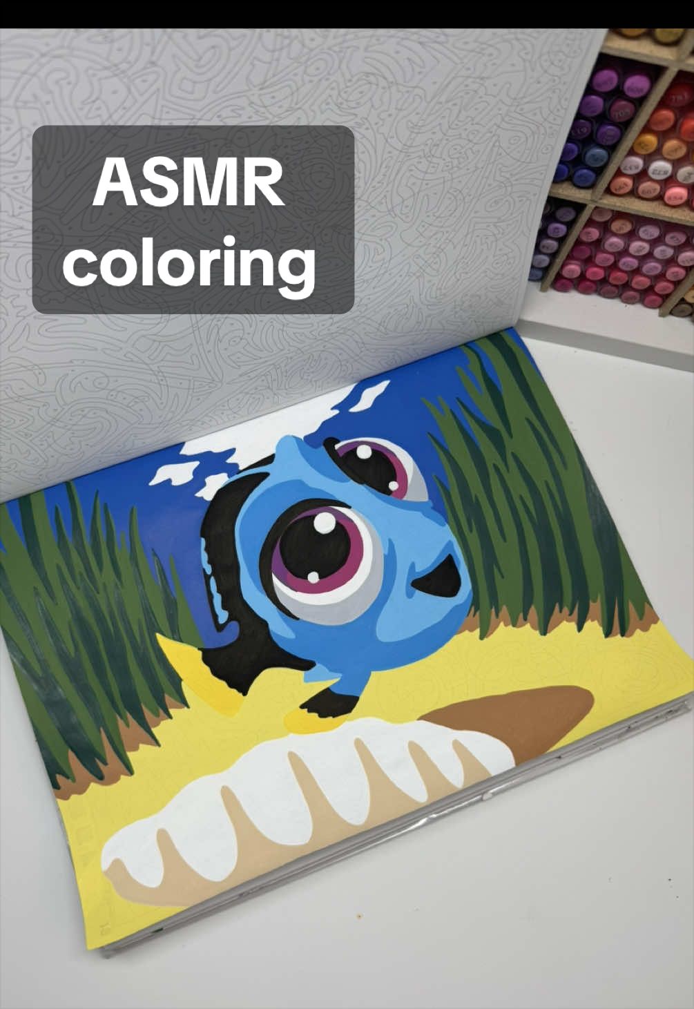 @color.the.magic