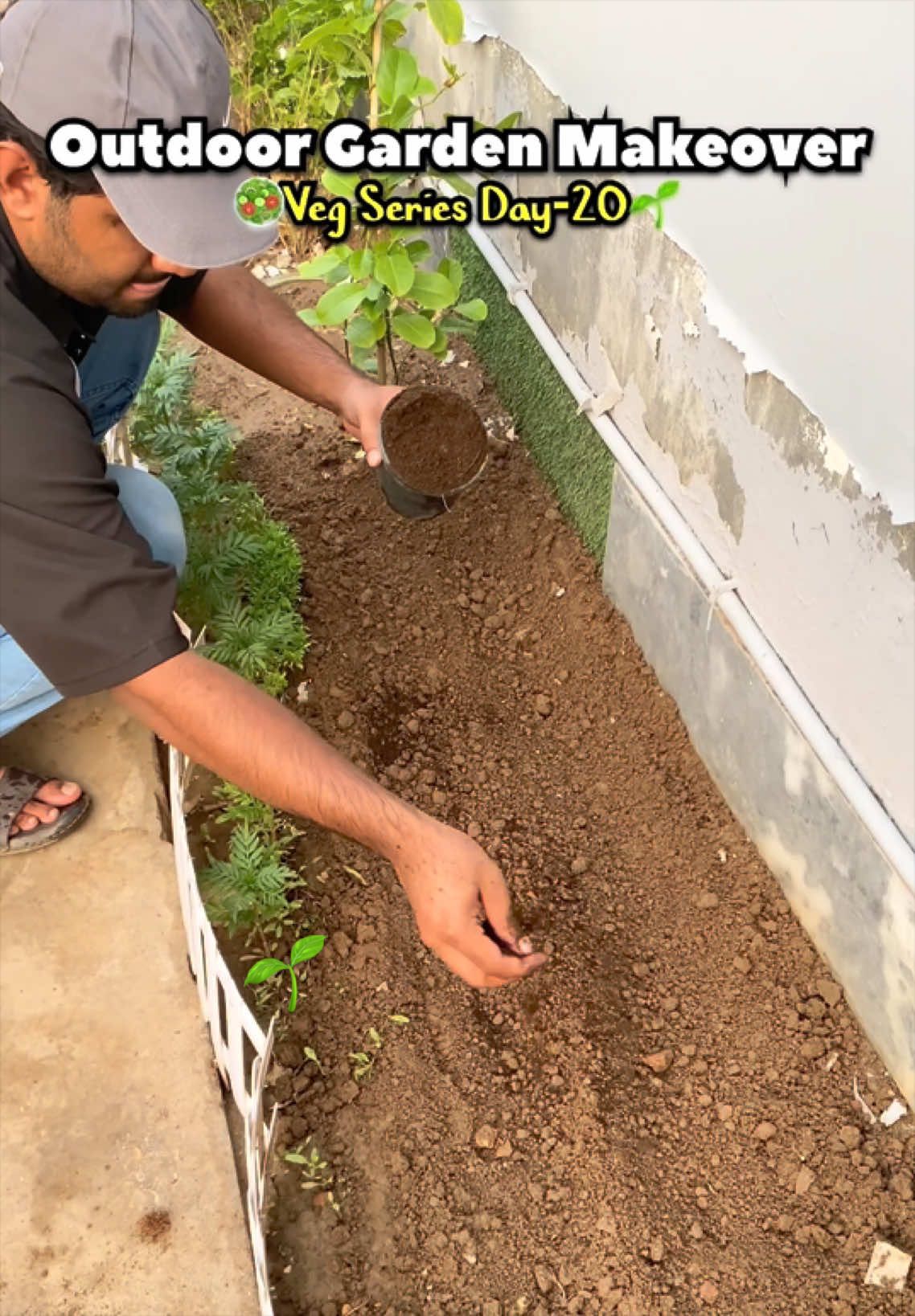@Plantwithmomin