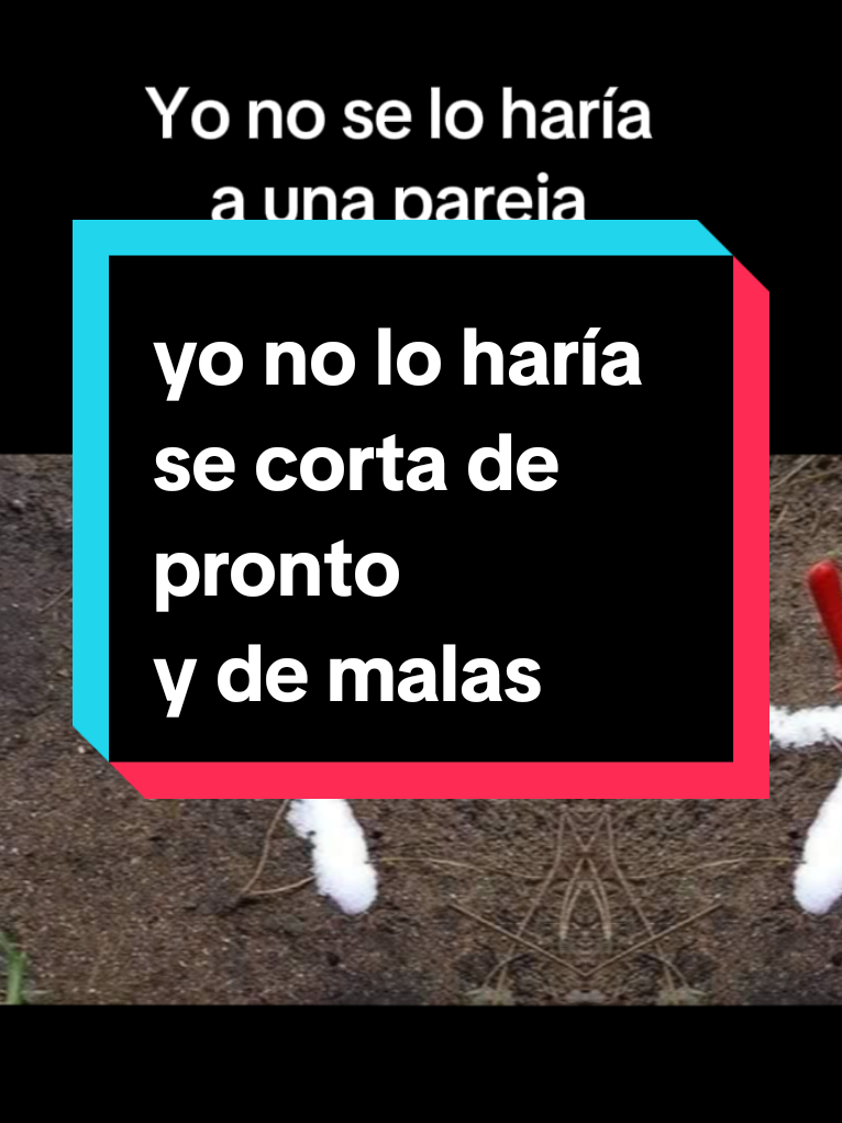 @el regalo de la bruja