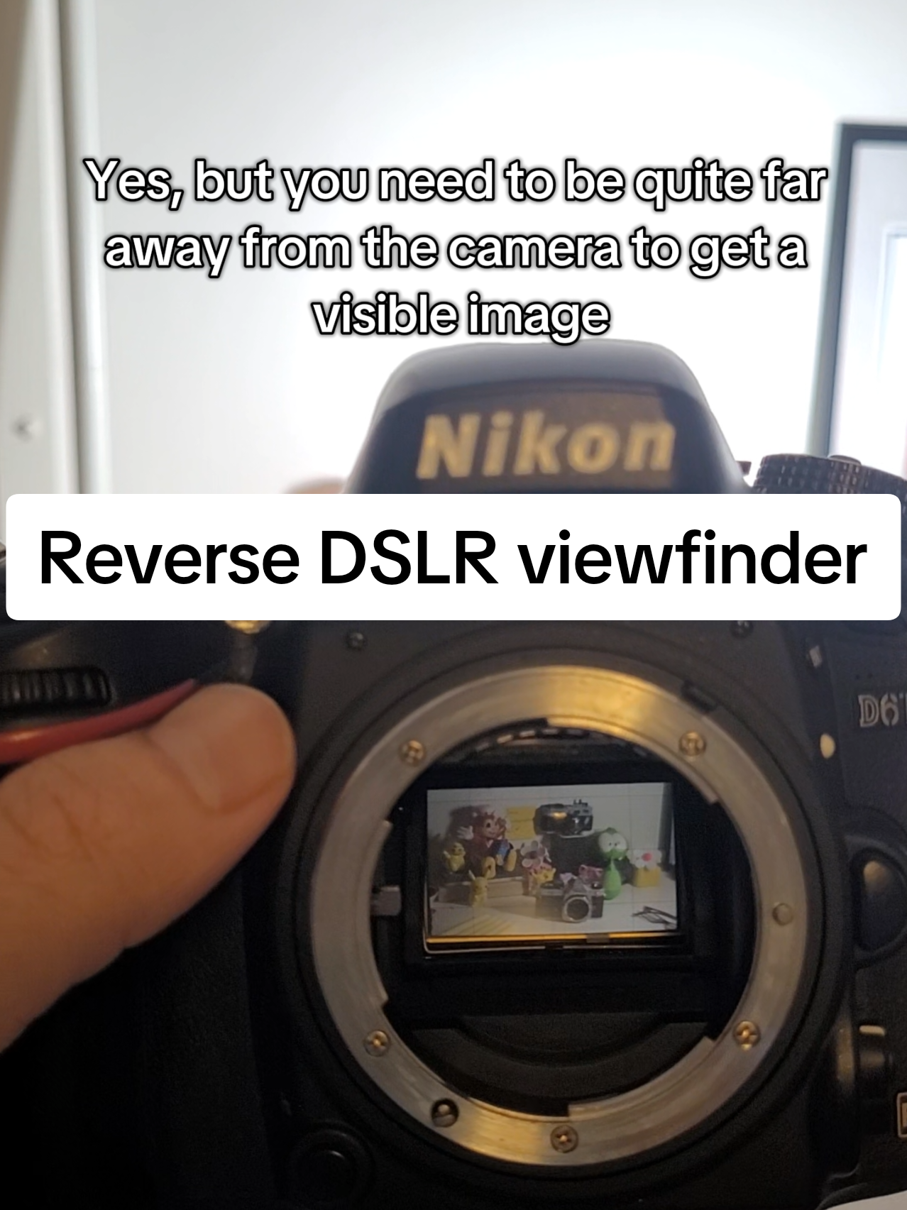 @I Export JPGs