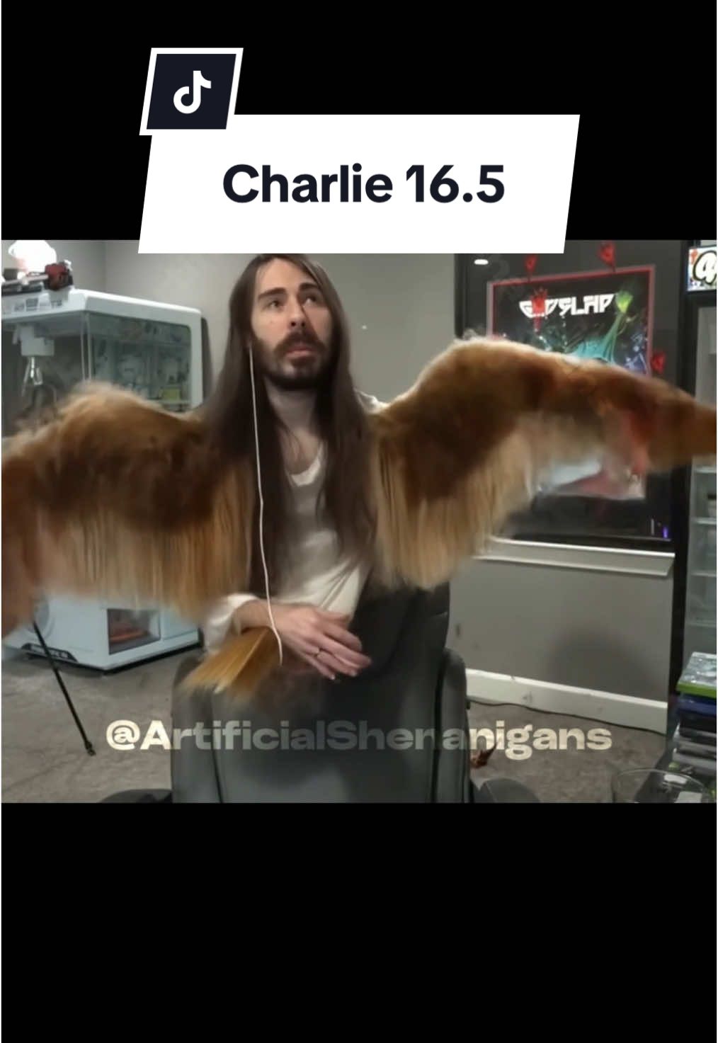 @AI Shenanigans