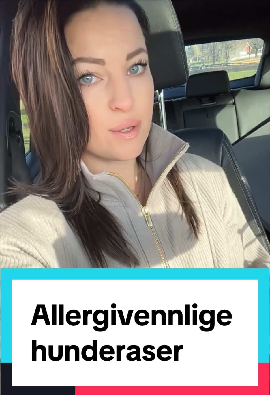 @dr.aya.vet