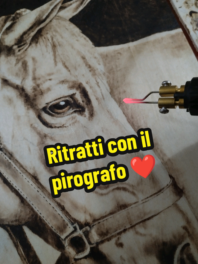 @Giotto gioielli 🐾❤️💍