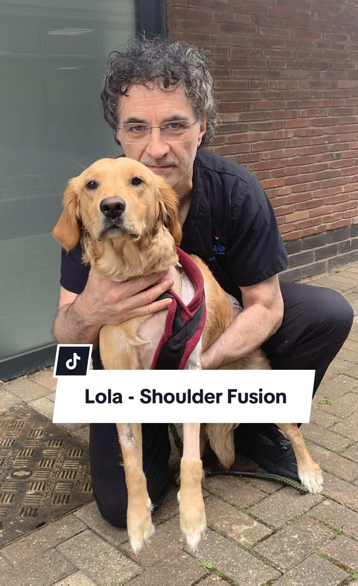 @profnoelfitzpatrick