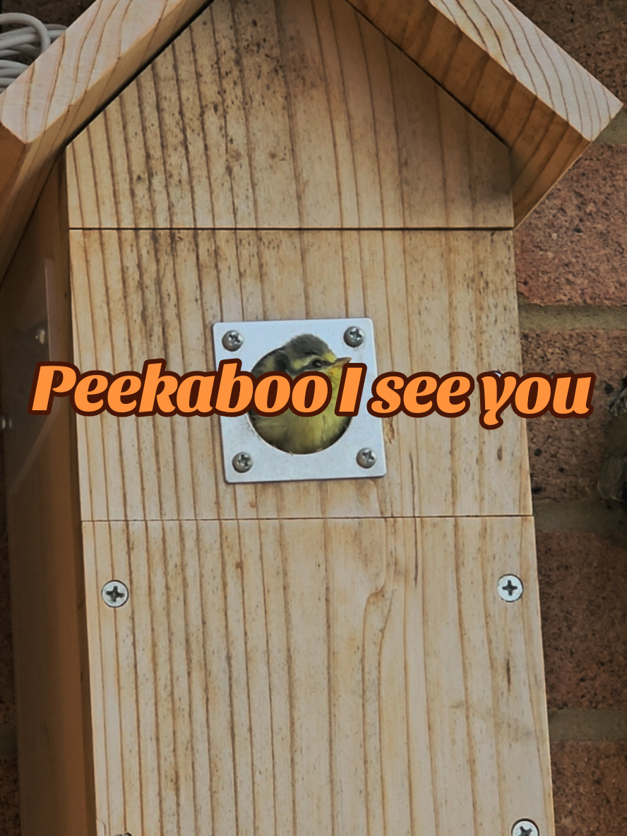 @Joanne Mortlock