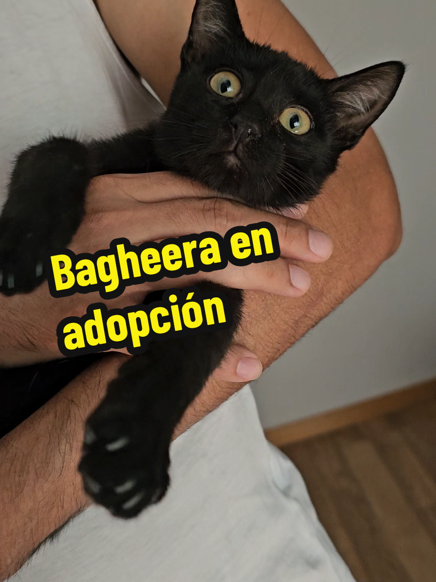 @garritasespaciales
