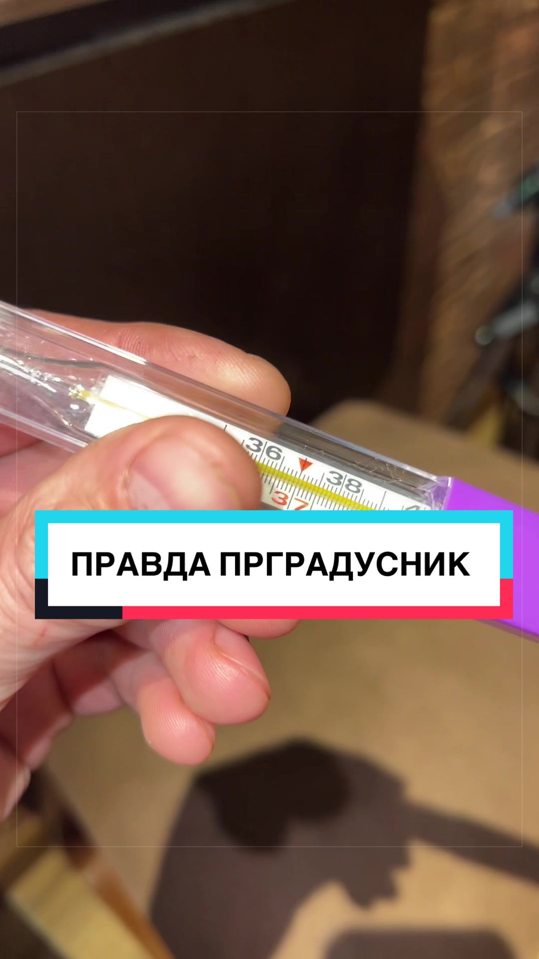 @laifhak_mozgi