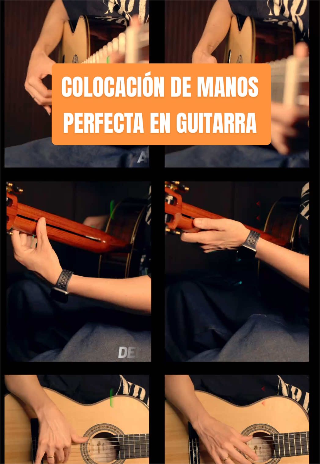 @pepecarmonamusic