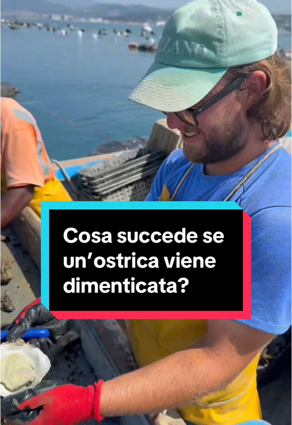 @Mitili&Mitili