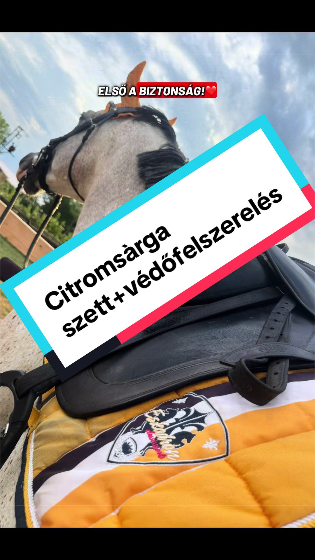@B&D(Dóri)🥳