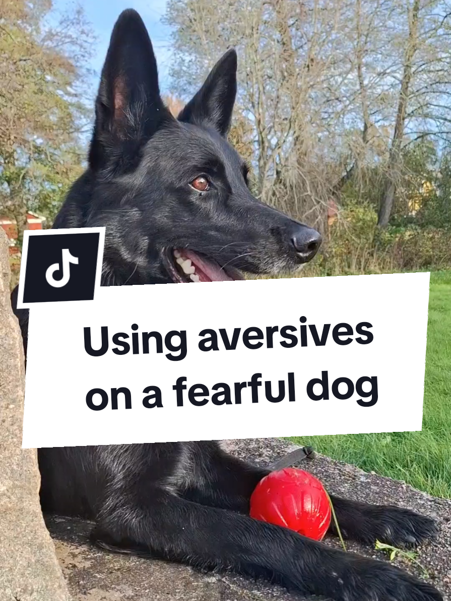@offbrandgsd