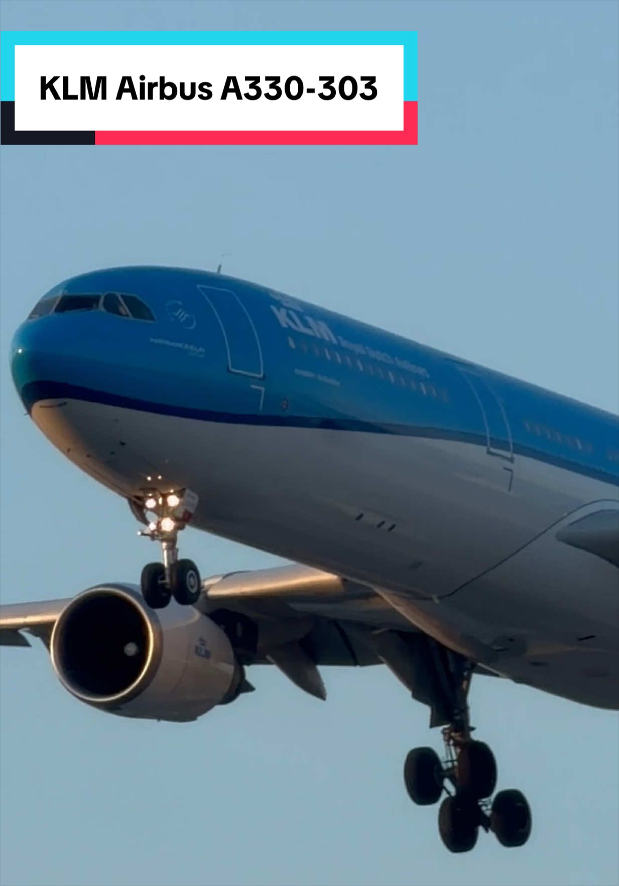 @AVIATION_YYZ_SPOTTER