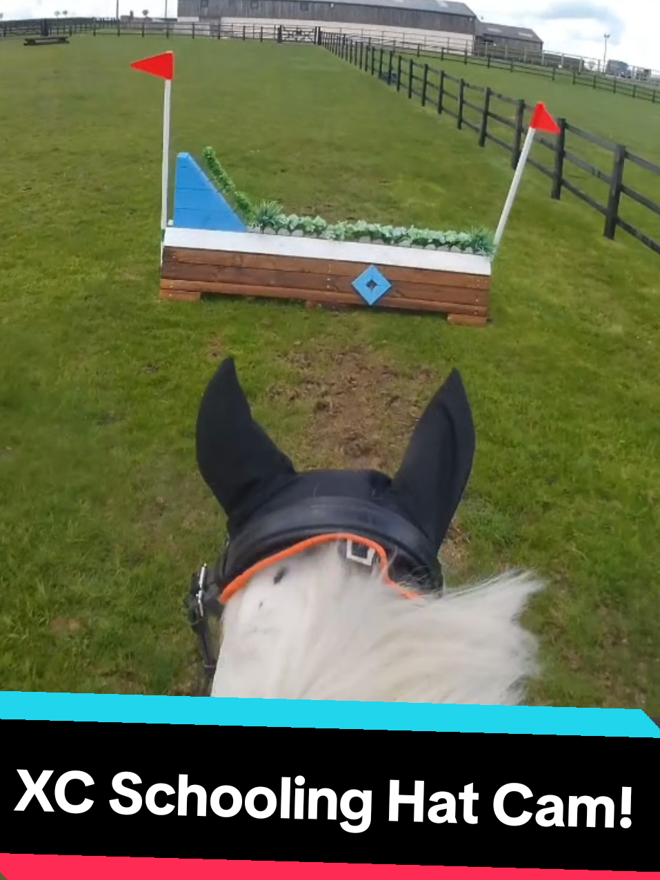 @Caitlin Padgett- Para Rider