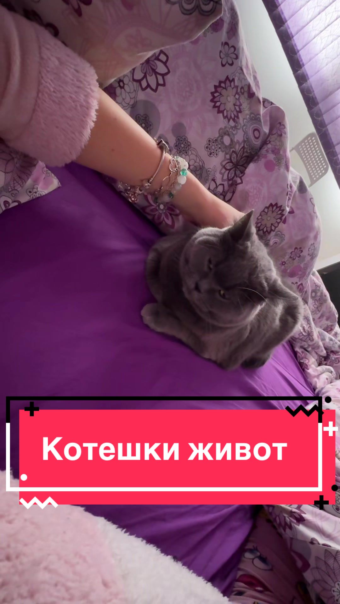 @Радост Василева