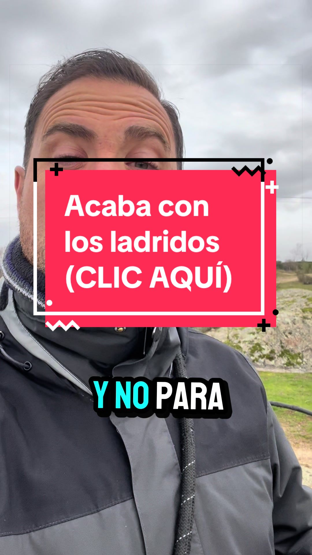 @adican_adiestradorcanino