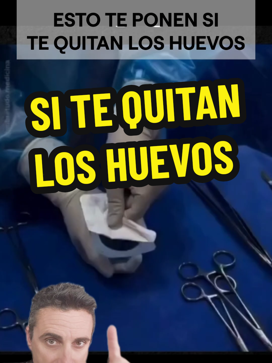 @Miguel ASSAL