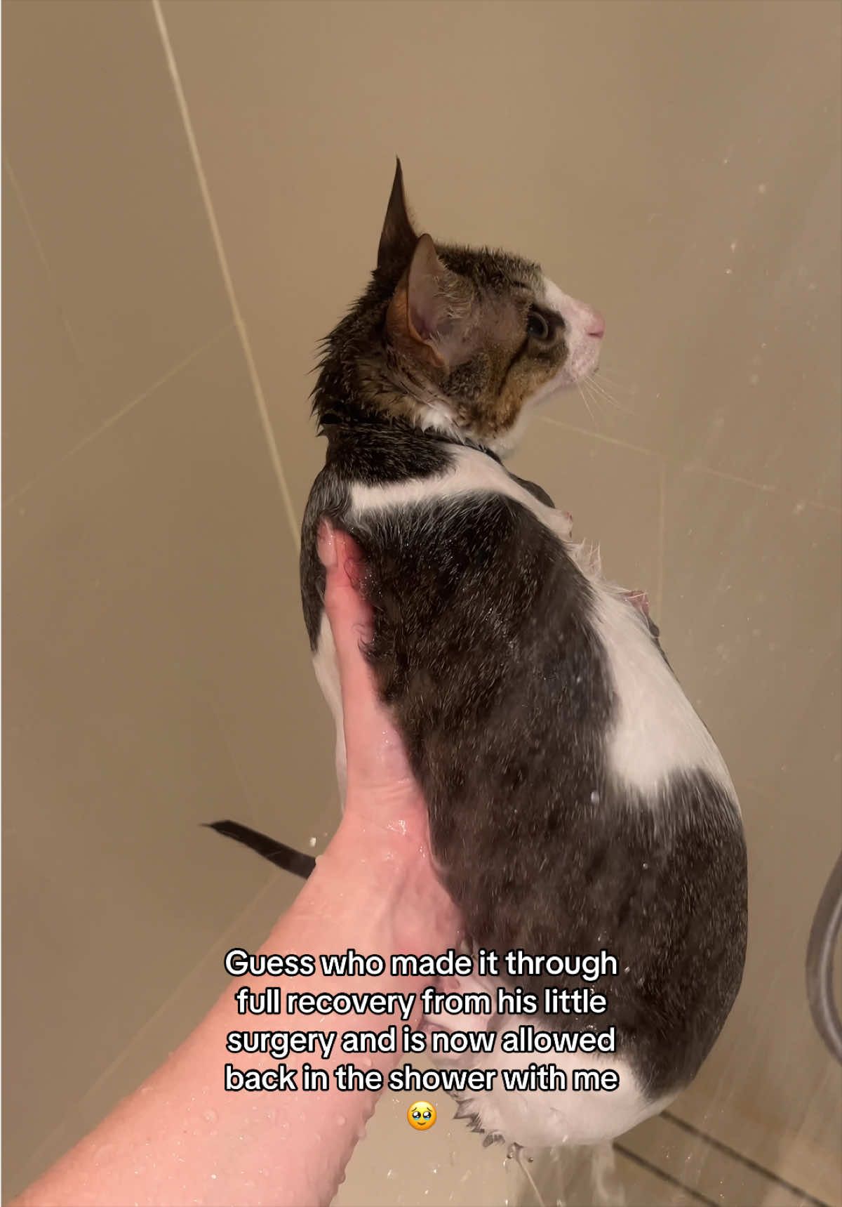 @Signe Paludan