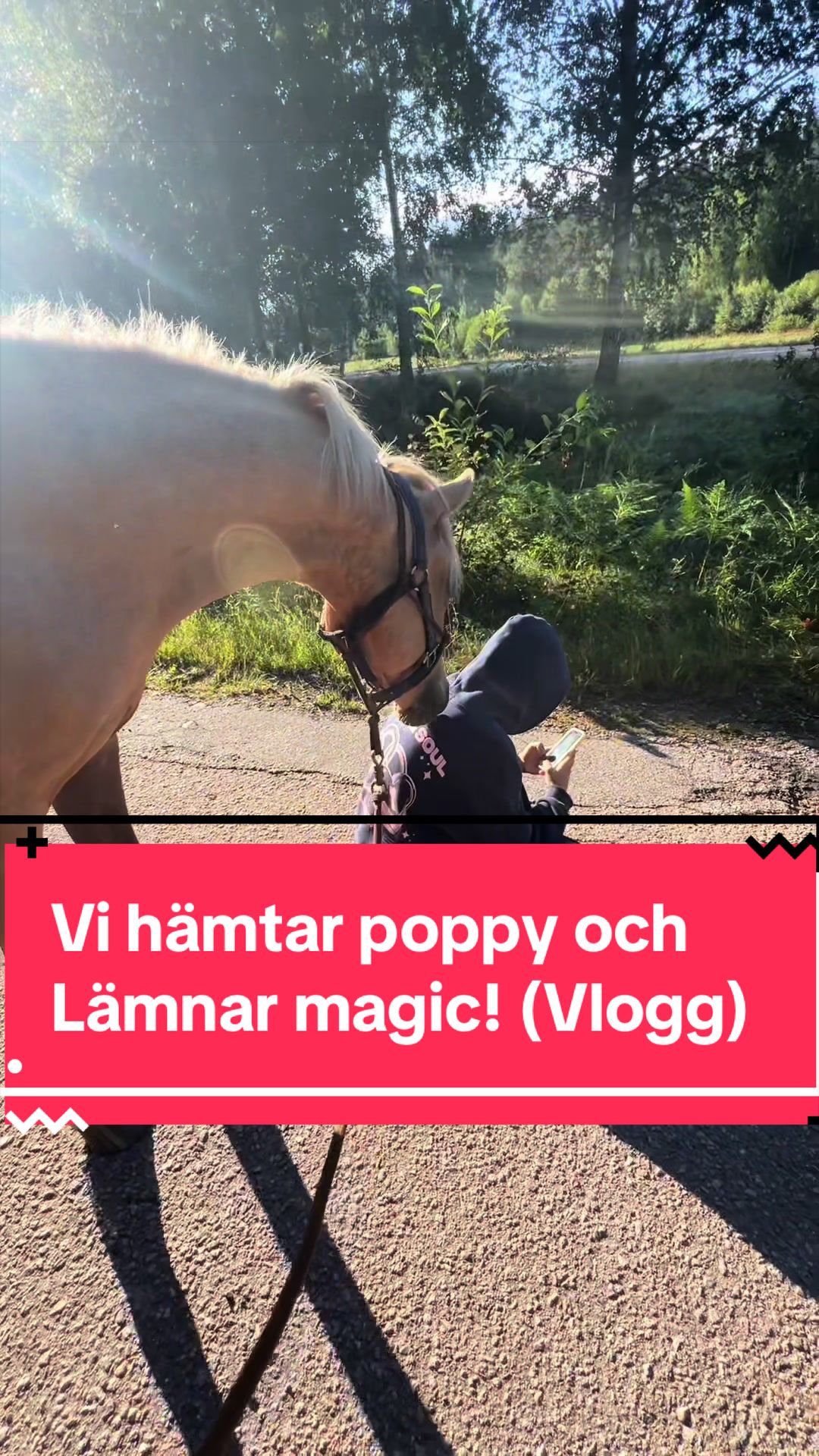 @🇸🇪Team Alslycka🇸🇪