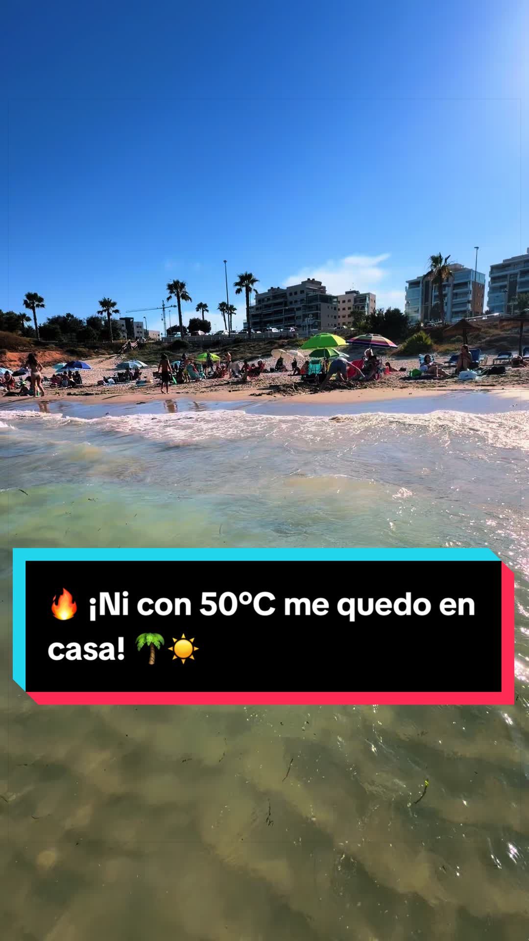 @rentacardapilardelahorad