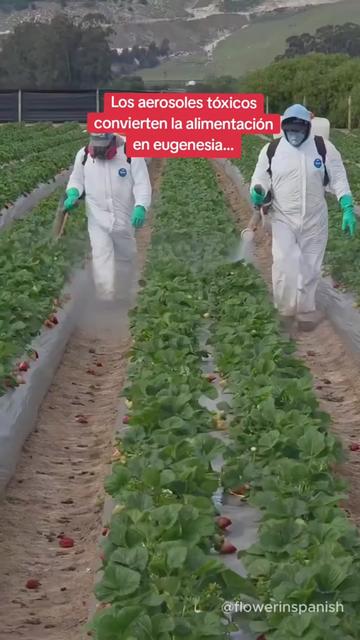 @EL JUSTICIERO O77