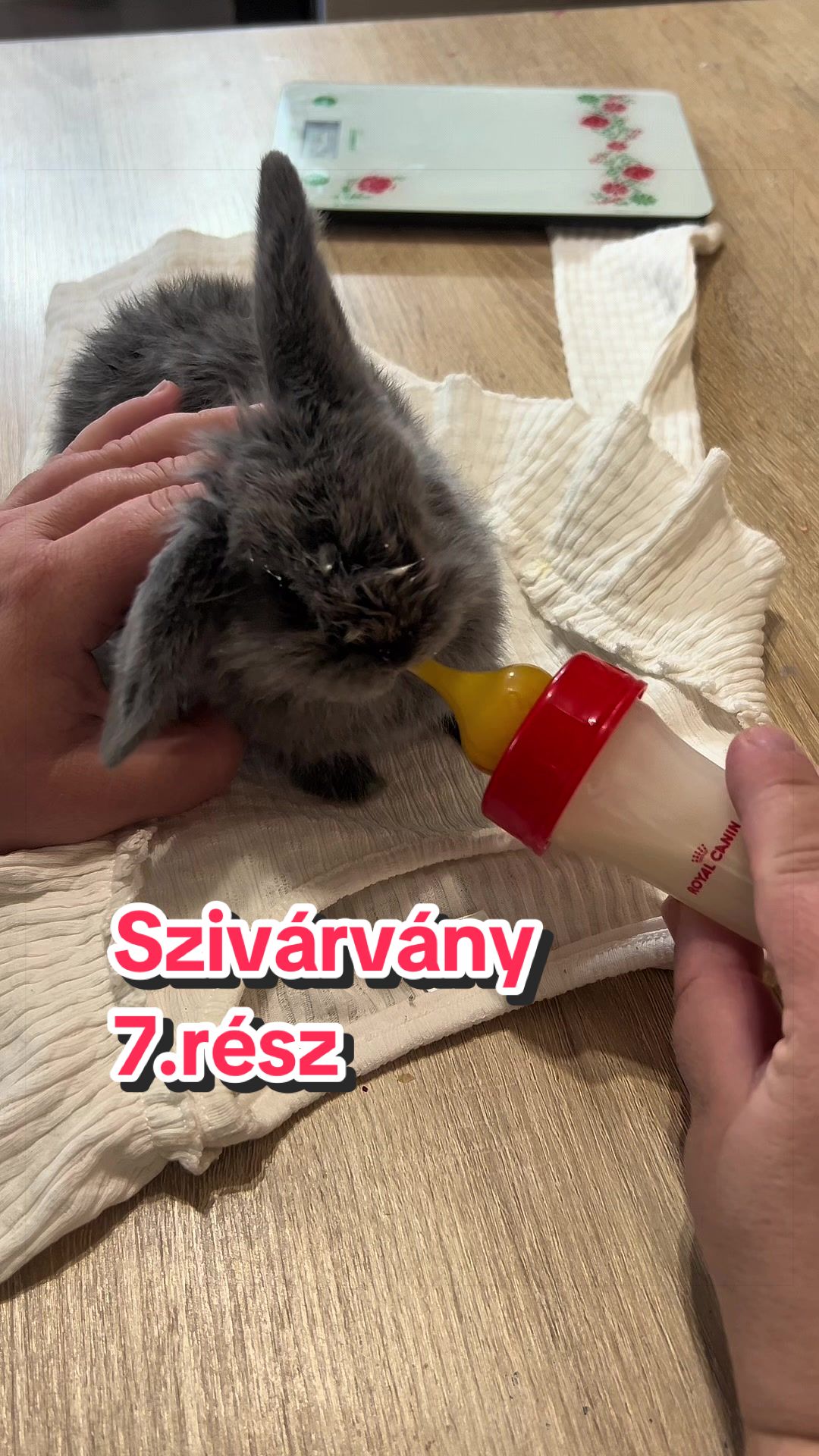 @Némethné Pogrányi Zsuzsanna