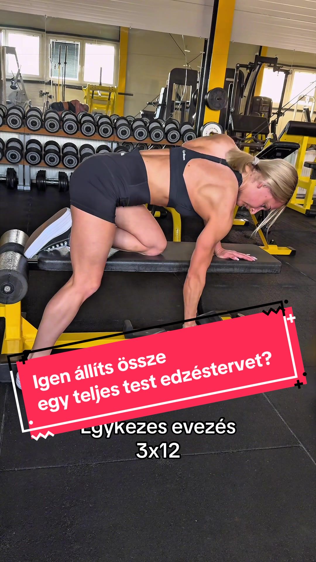 @kondor.anett
