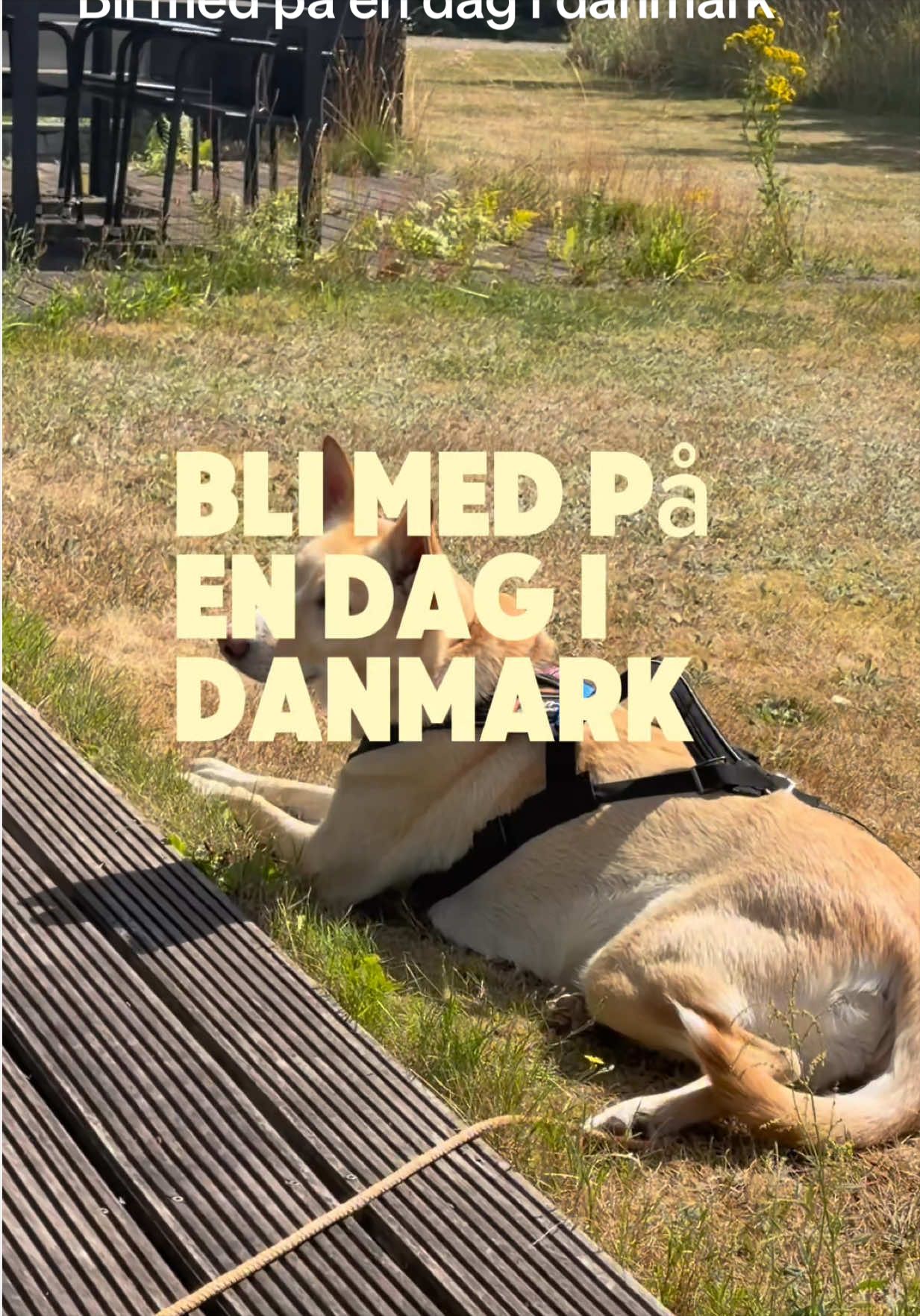 @thea fløtten
