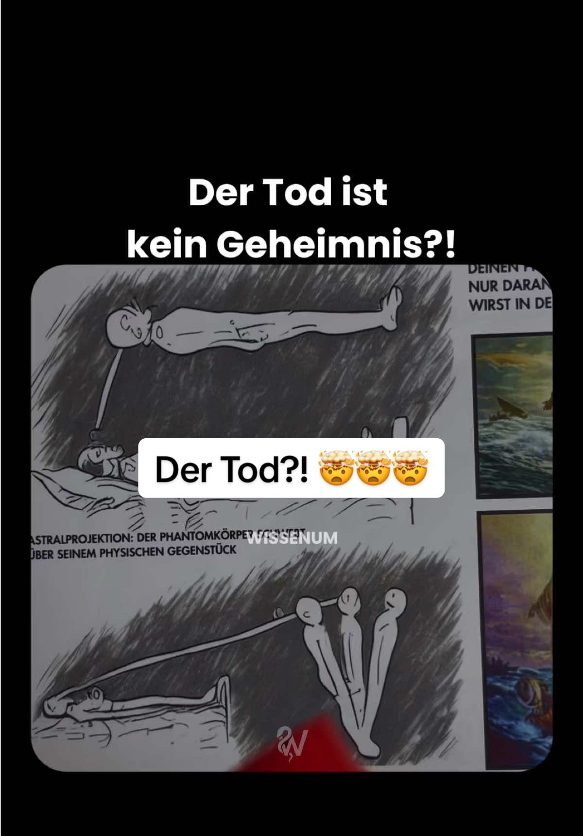 @thewissenum