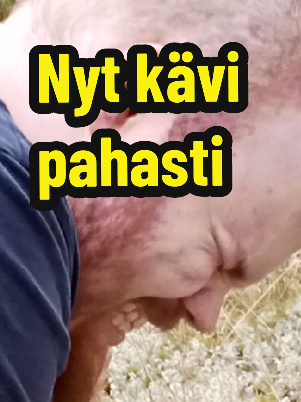 @LEMPEÄ JÄTTI