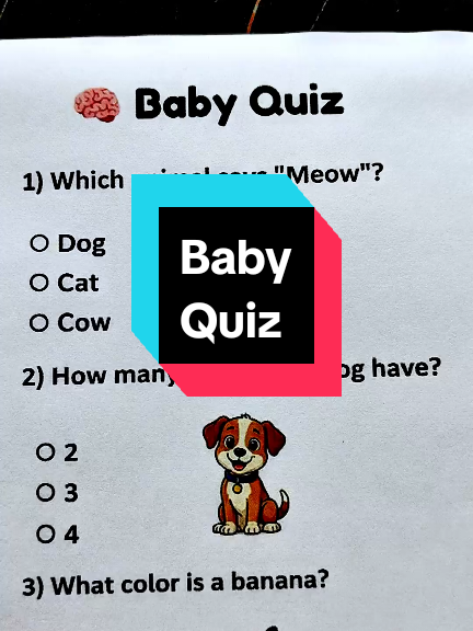 @Quiz Review