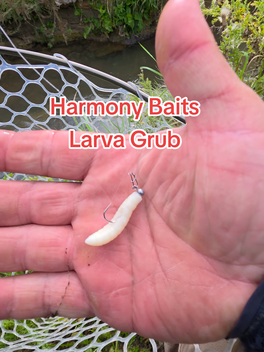 @BF Angler